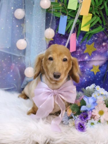 20250715レオンくん